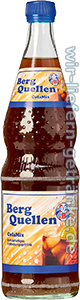 Hochwald Berg Quellen Cola-Mix